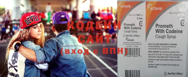 крисы Вяземский