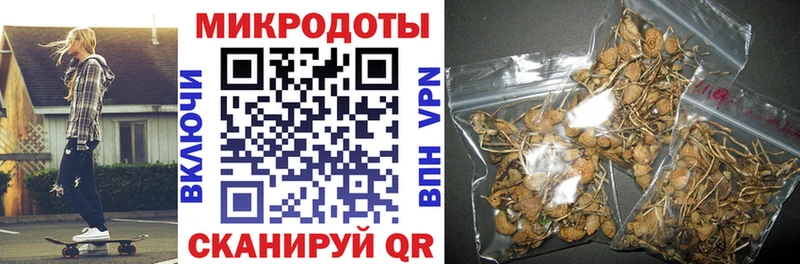 купить наркоту  Шали  Псилоцибиновые грибы прущие грибы 